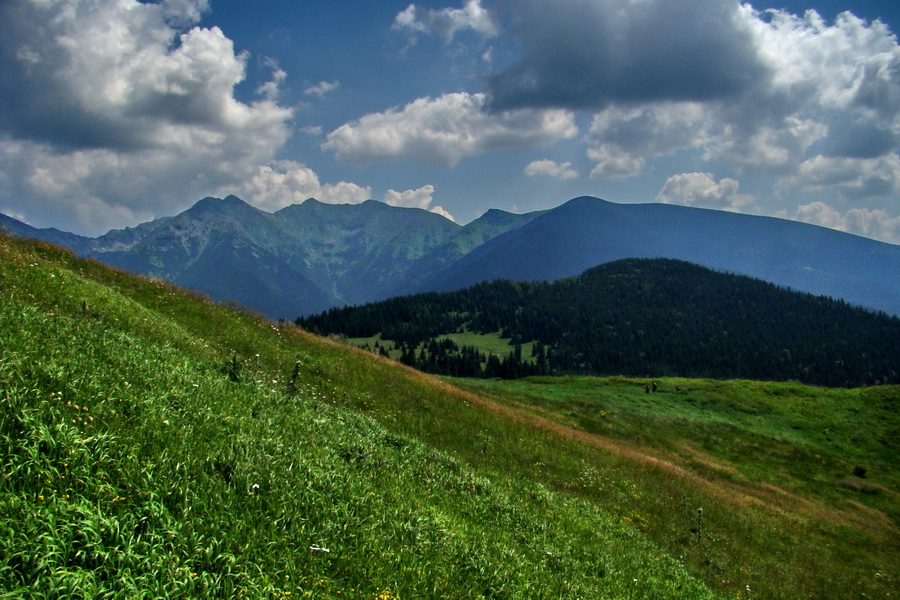 Sivý vrch z Jalovca (Západné Tatry)