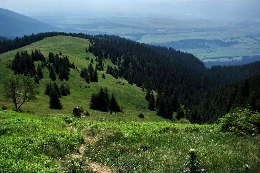 Sivý vrch z Jalovca (Západné Tatry)