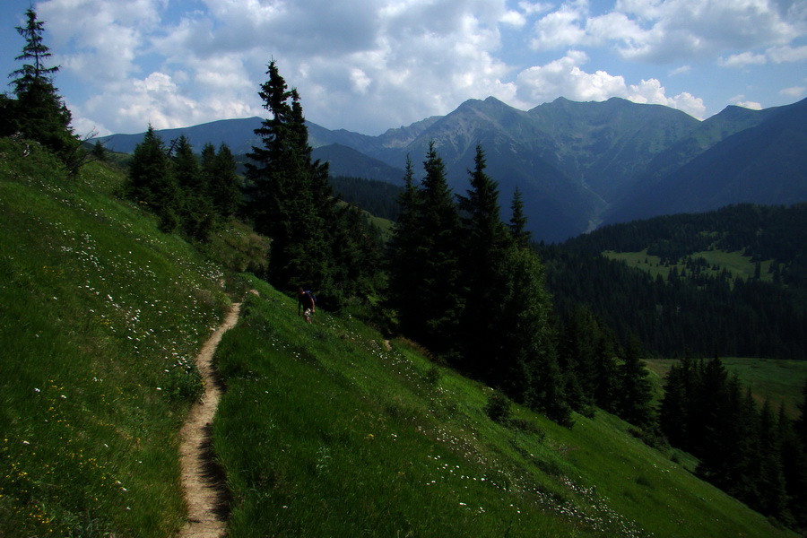 Sivý vrch z Jalovca (Západné Tatry)