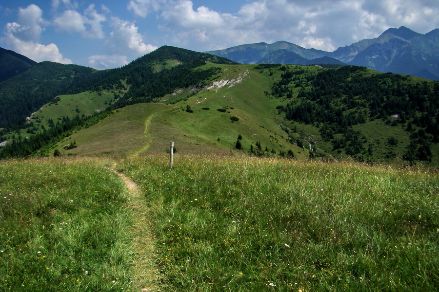 Sivý vrch z Jalovca (Západné Tatry)