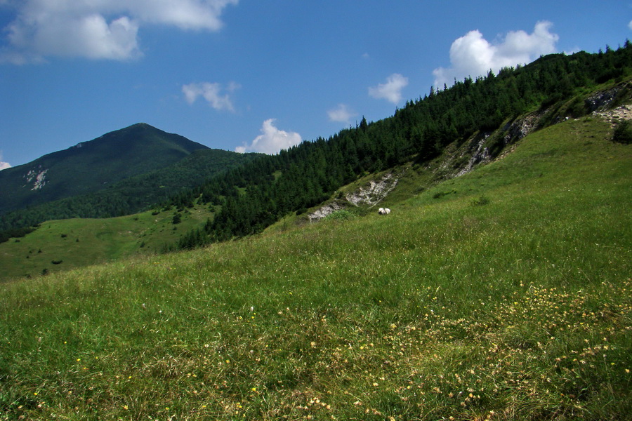 Sivý vrch z Jalovca (Západné Tatry)