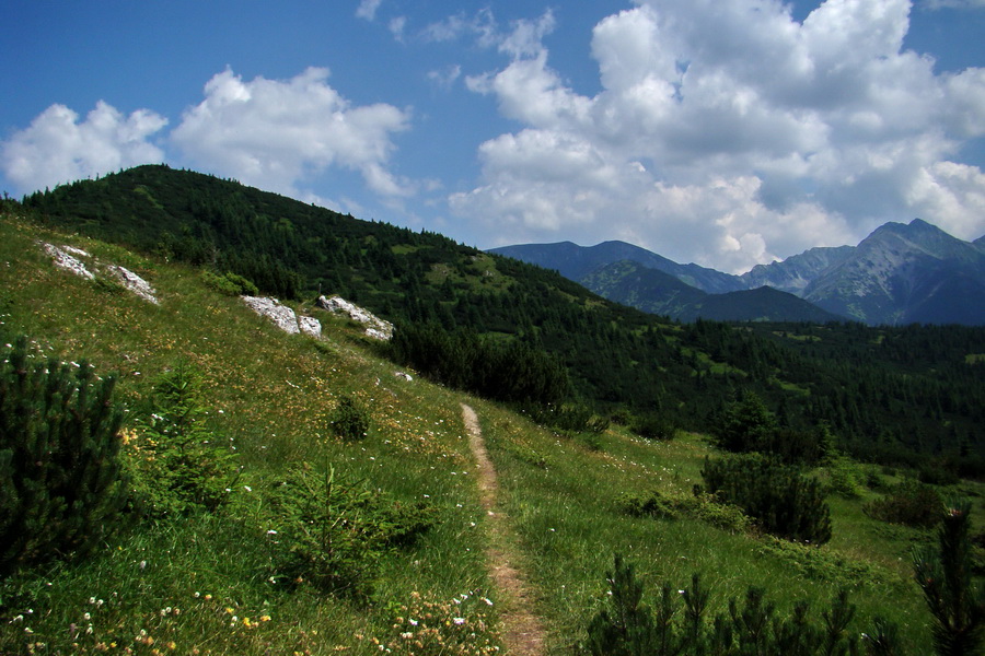 Sivý vrch z Jalovca (Západné Tatry)