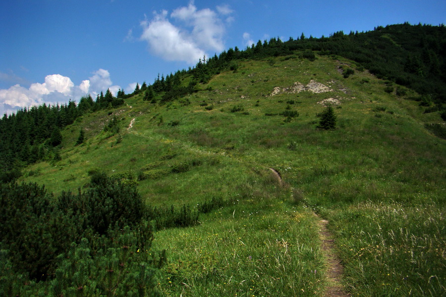 Sivý vrch z Jalovca (Západné Tatry)