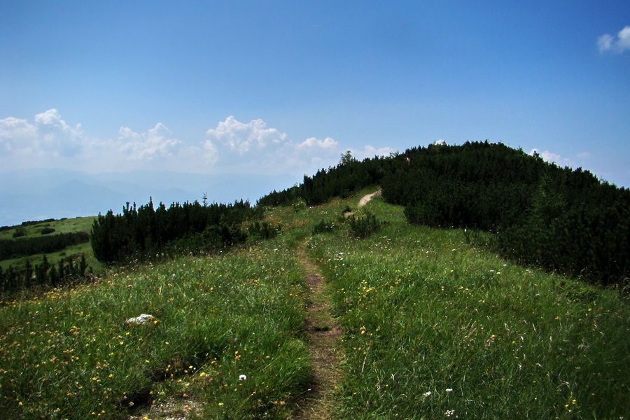 Sivý vrch z Jalovca (Západné Tatry)