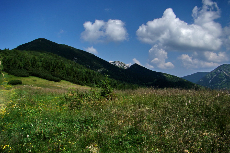 Sivý vrch z Jalovca (Západné Tatry)