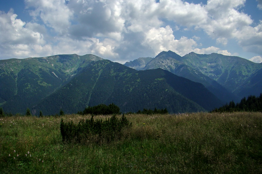 Sivý vrch z Jalovca (Západné Tatry)