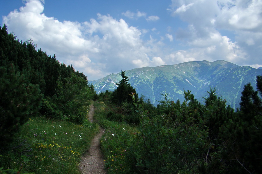 Sivý vrch z Jalovca (Západné Tatry)