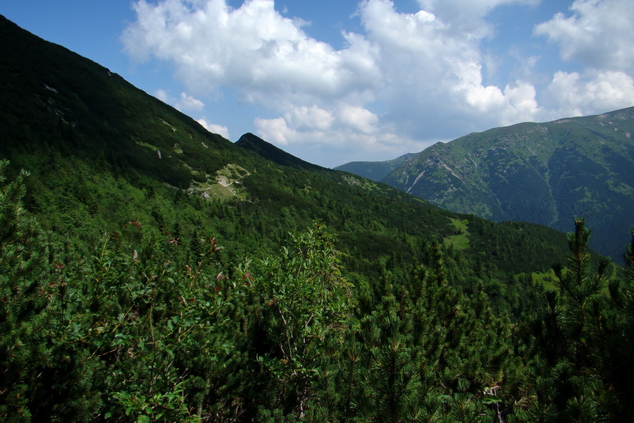 Sivý vrch z Jalovca (Západné Tatry)