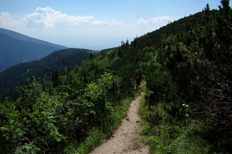 Sivý vrch z Jalovca (Západné Tatry)