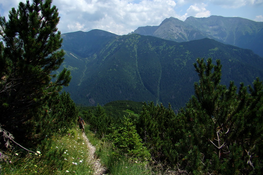 Sivý vrch z Jalovca (Západné Tatry)