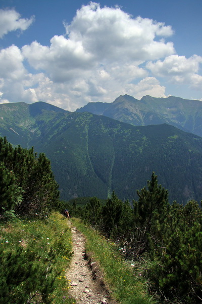 Sivý vrch z Jalovca (Západné Tatry)