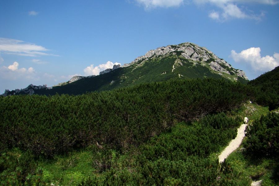 Sivý vrch z Jalovca (Západné Tatry)