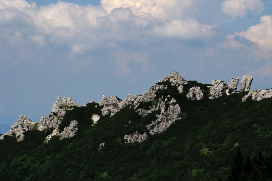 Sivý vrch z Jalovca (Západné Tatry)