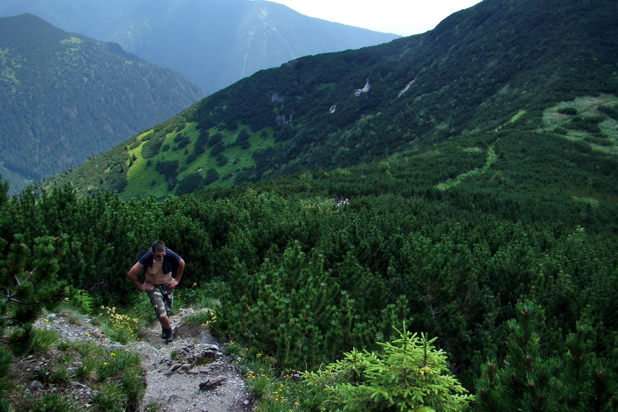 Sivý vrch z Jalovca (Západné Tatry)