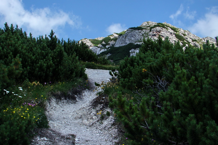 Sivý vrch z Jalovca (Západné Tatry)