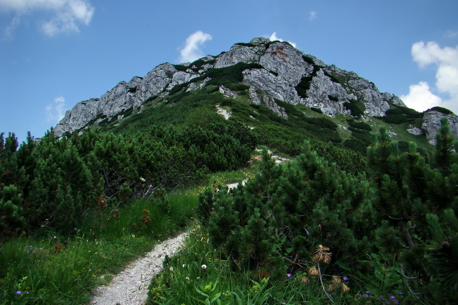 Sivý vrch z Jalovca (Západné Tatry)