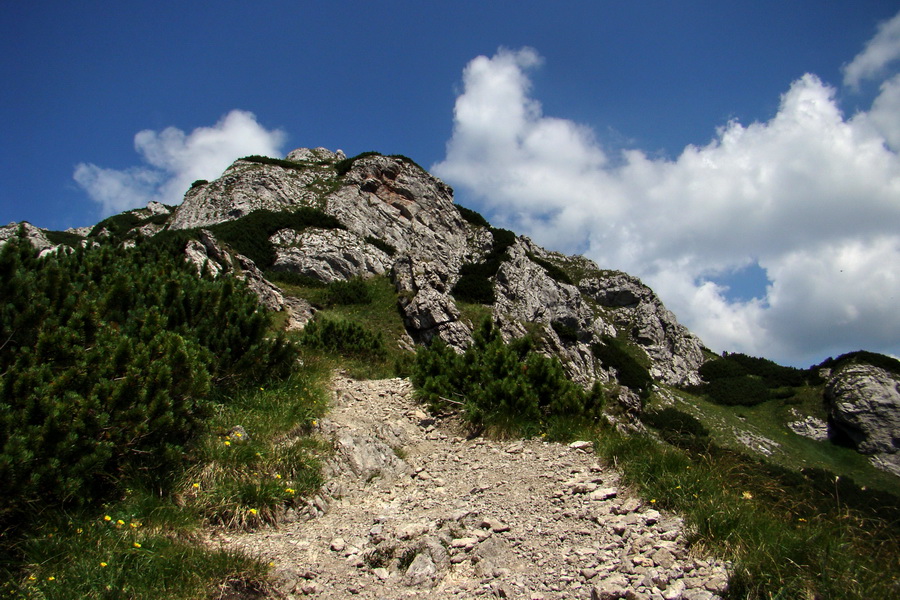 Sivý vrch z Jalovca (Západné Tatry)