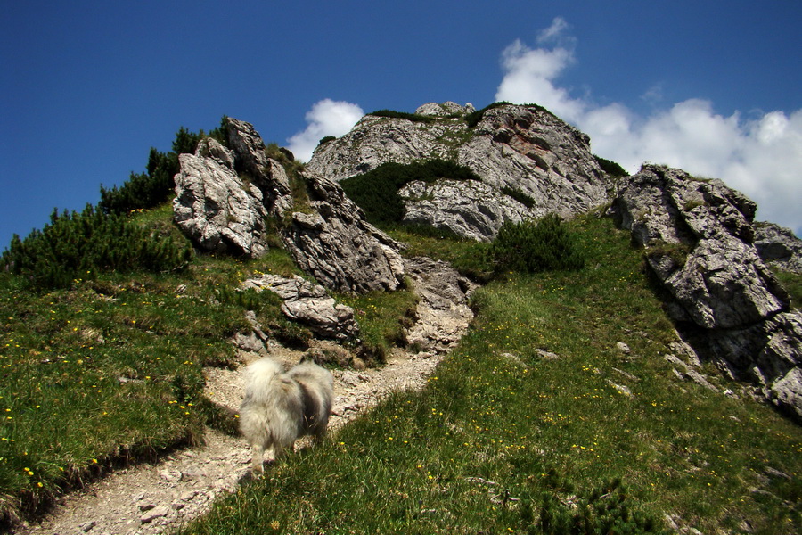 Sivý vrch z Jalovca (Západné Tatry)