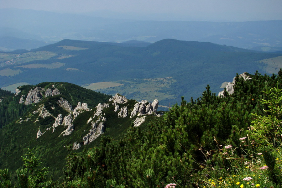 Sivý vrch z Jalovca (Západné Tatry)