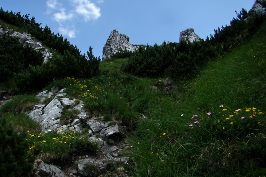 Sivý vrch z Jalovca (Západné Tatry)