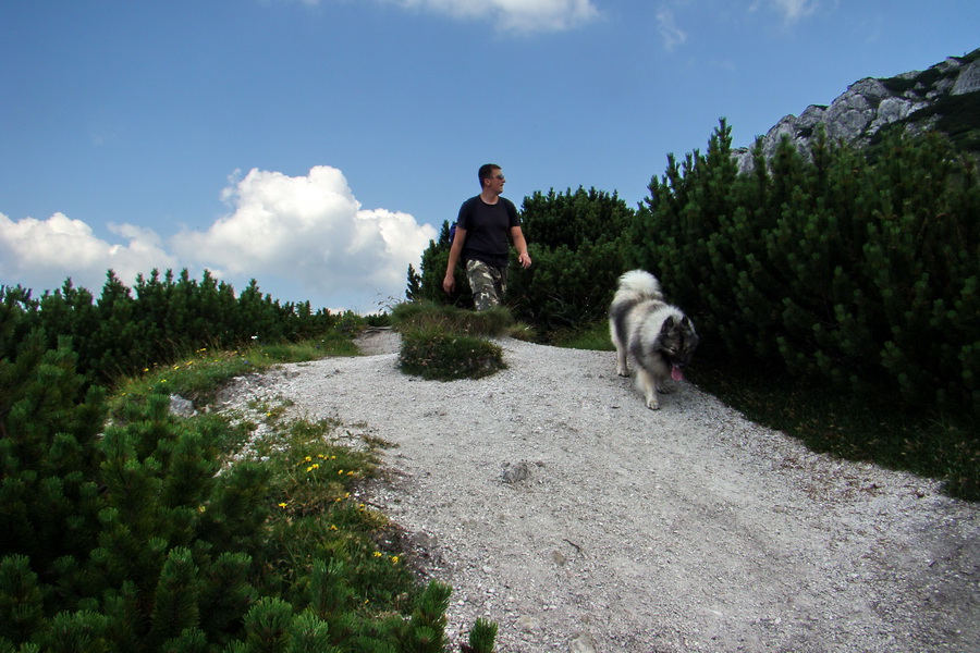 Sivý vrch z Jalovca (Západné Tatry)