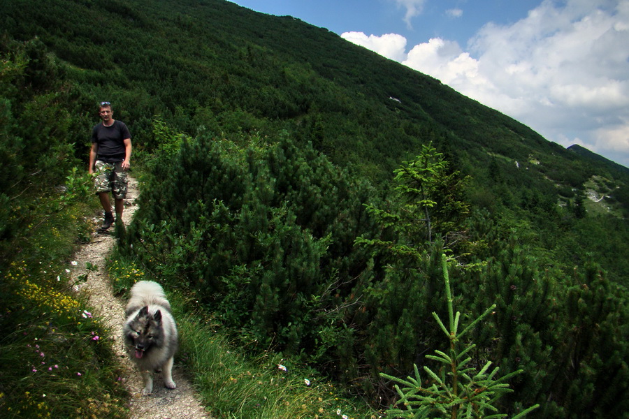 Sivý vrch z Jalovca (Západné Tatry)