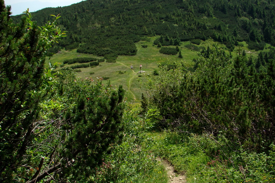 Sivý vrch z Jalovca (Západné Tatry)