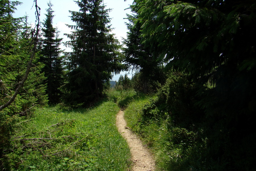 Sivý vrch z Jalovca (Západné Tatry)