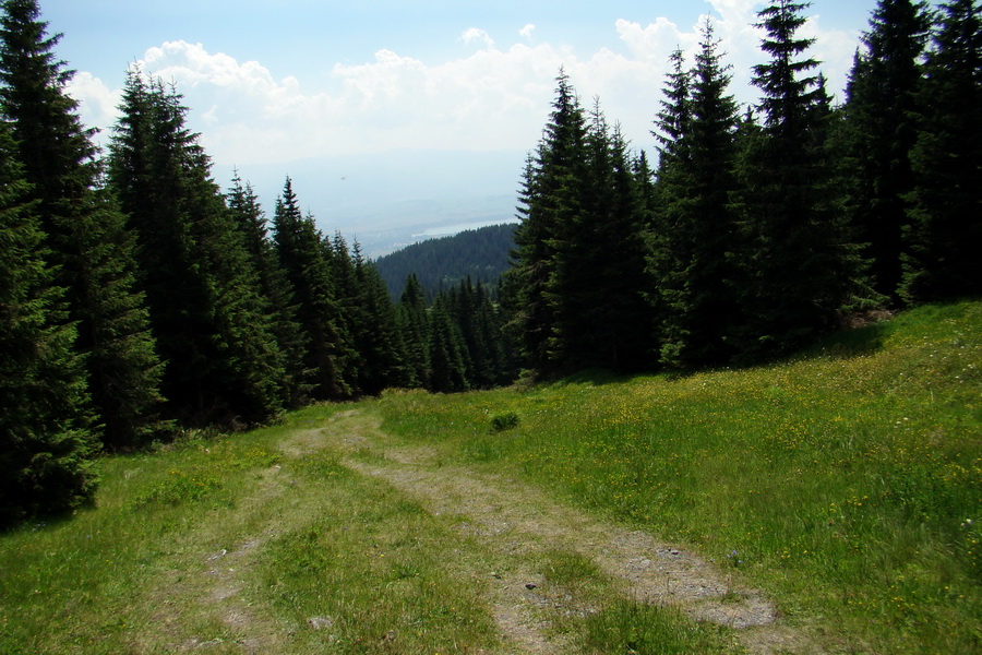 Sivý vrch z Jalovca (Západné Tatry)