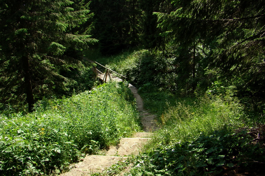 Sivý vrch z Jalovca (Západné Tatry)