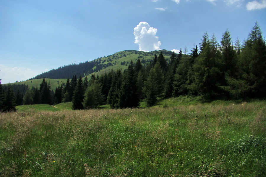 Sivý vrch z Jalovca (Západné Tatry)