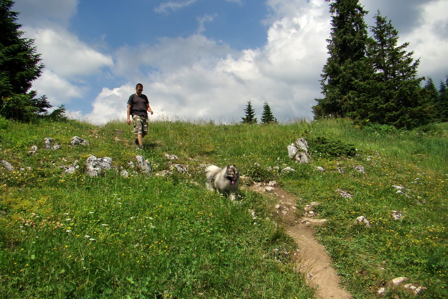 Sivý vrch z Jalovca (Západné Tatry)