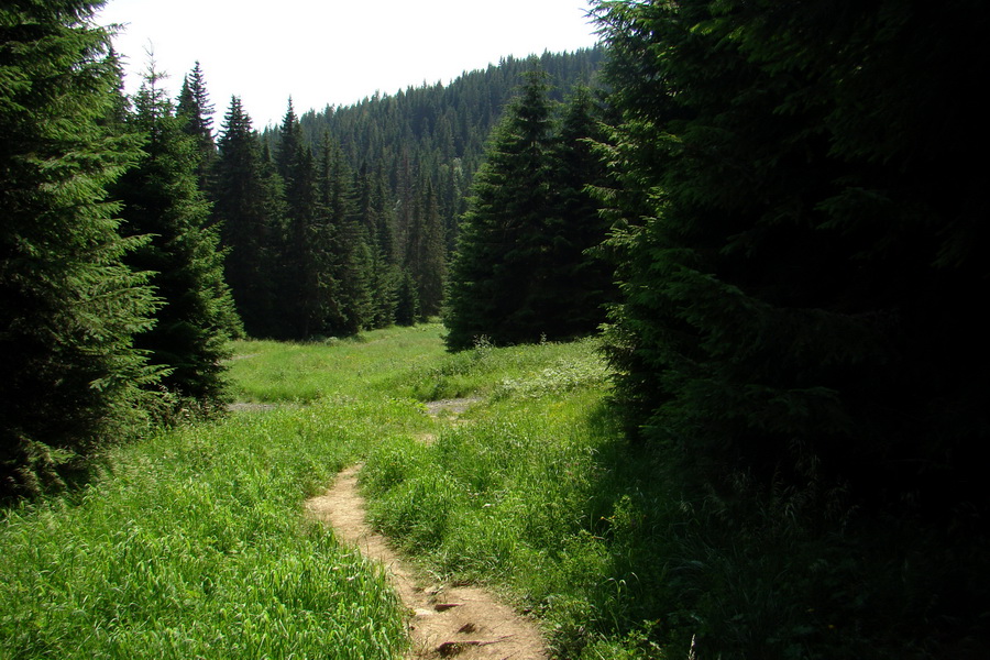 Sivý vrch z Jalovca (Západné Tatry)