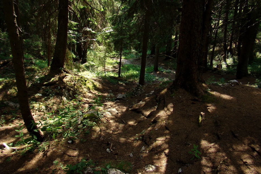 Sivý vrch z Jalovca (Západné Tatry)