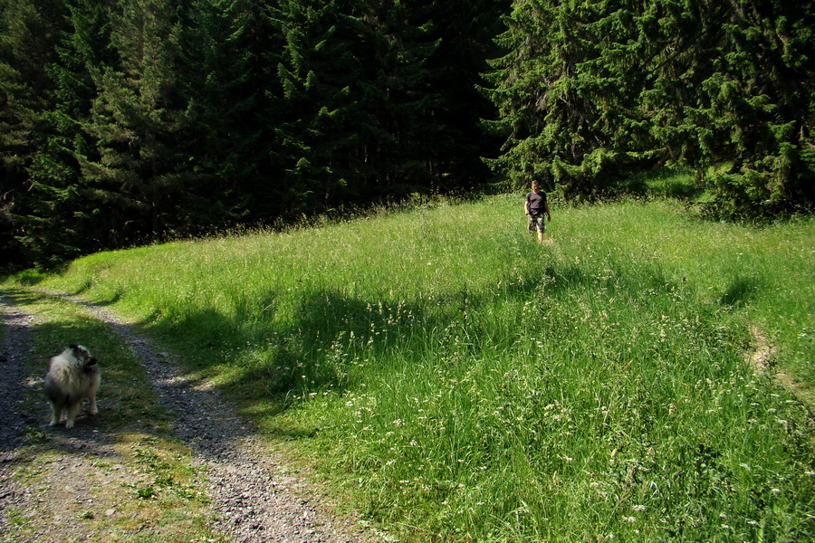 Sivý vrch z Jalovca (Západné Tatry)