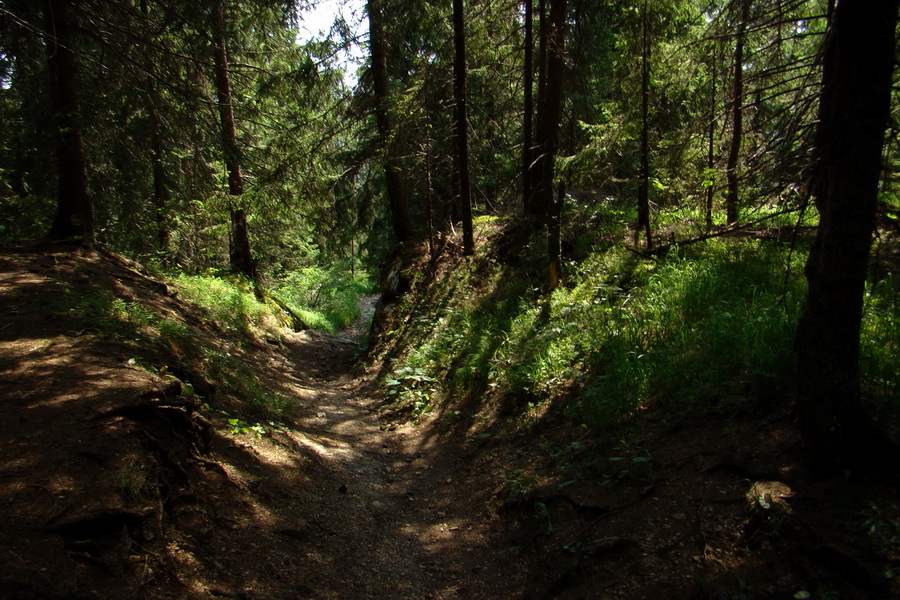 Sivý vrch z Jalovca (Západné Tatry)