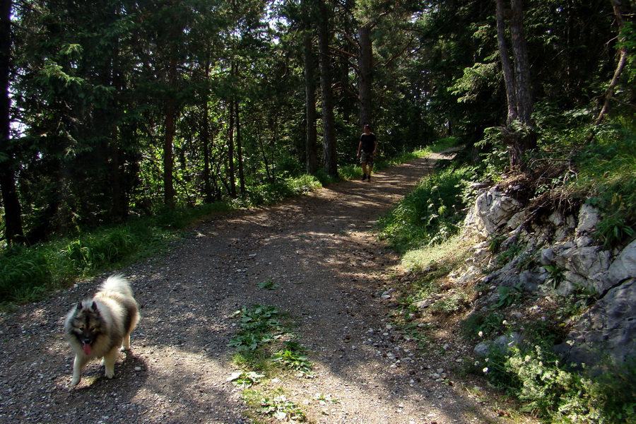 Sivý vrch z Jalovca (Západné Tatry)