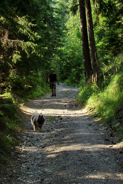 Sivý vrch z Jalovca (Západné Tatry)