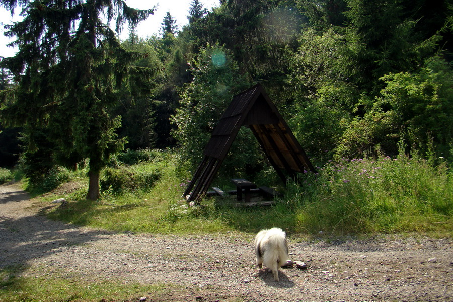 Sivý vrch z Jalovca (Západné Tatry)