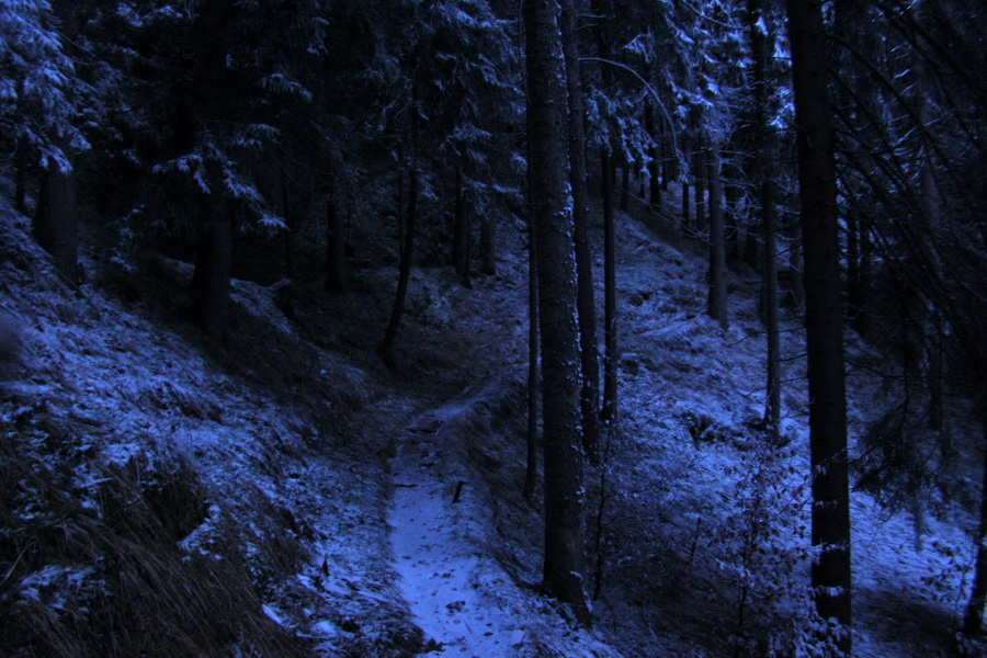 Takmer Krakova hoľa (Nízke Tatry)