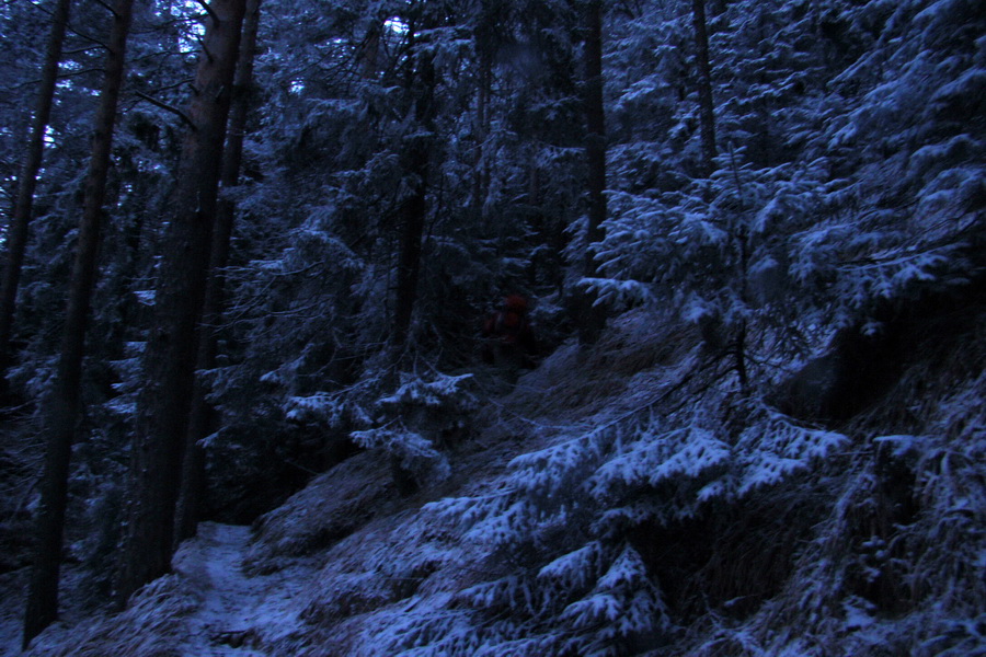 Takmer Krakova hoľa (Nízke Tatry)