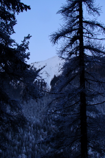 Takmer Krakova hoľa (Nízke Tatry)