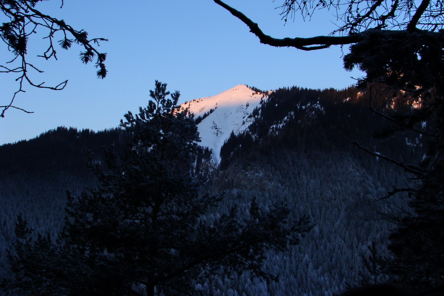 Takmer Krakova hoľa (Nízke Tatry)