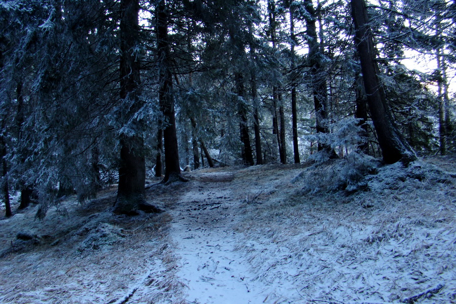 Takmer Krakova hoľa (Nízke Tatry)