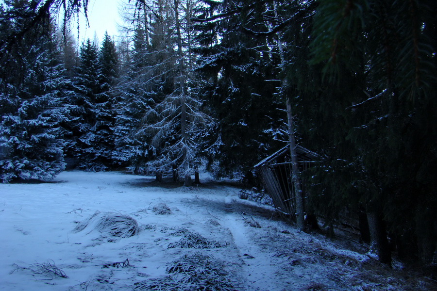 Takmer Krakova hoľa (Nízke Tatry)