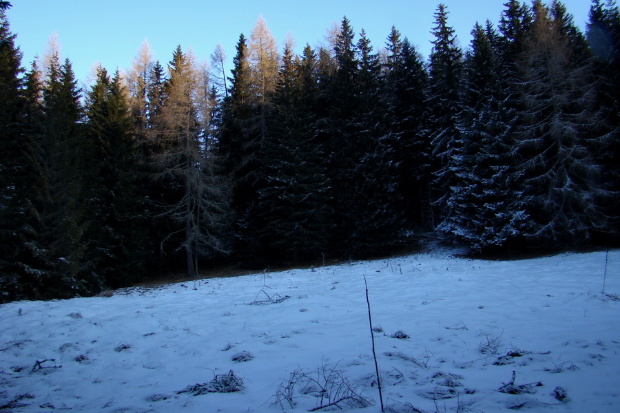 Takmer Krakova hoľa (Nízke Tatry)