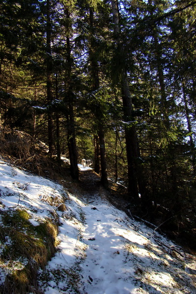 Takmer Krakova hoľa (Nízke Tatry)