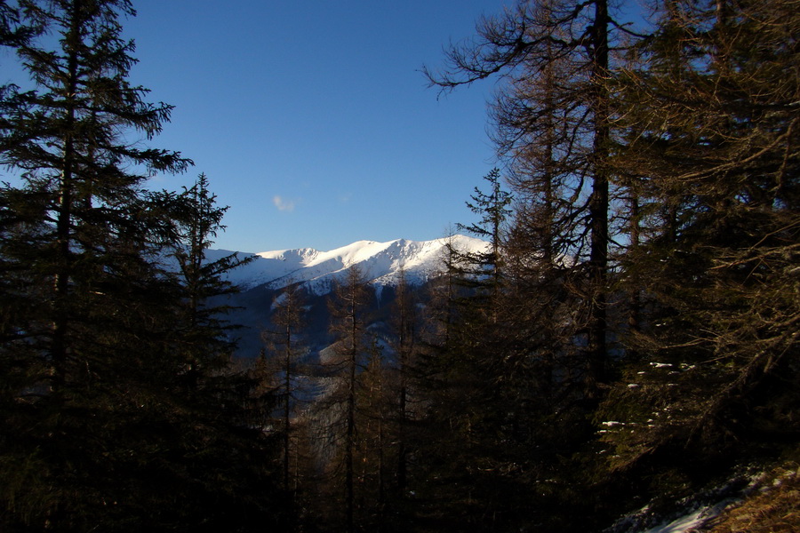 Takmer Krakova hoľa (Nízke Tatry)