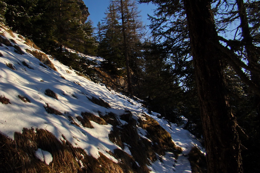 Takmer Krakova hoľa (Nízke Tatry)