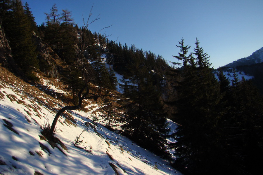 Takmer Krakova hoľa (Nízke Tatry)